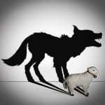 wolf in sheeps clothing